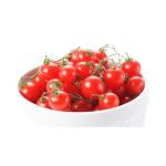 Cherry' tomato