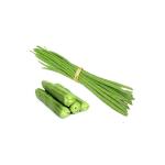 Drum stick