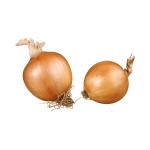 onion