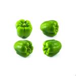 capsicum