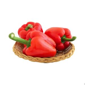 Red capsicum