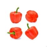 Red capsicum